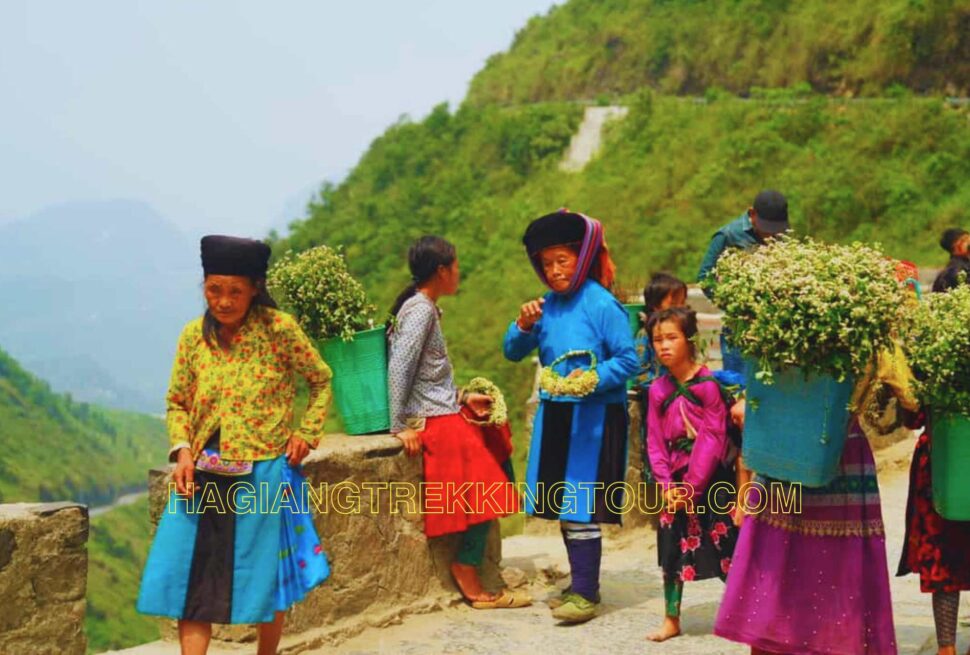 What Should You Keep in Mind When Interacting with Local People in Ha Giang