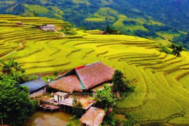 When is the Best Time to Visit Ha Giang