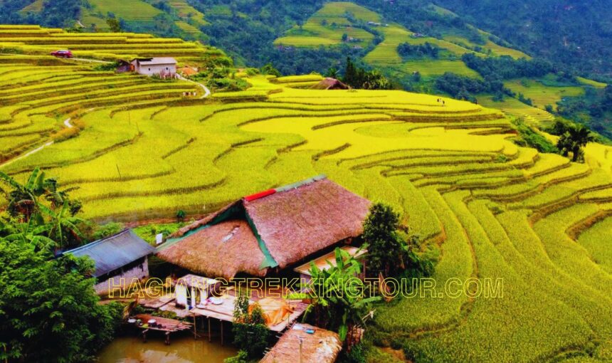 When is the Best Time to Visit Ha Giang?