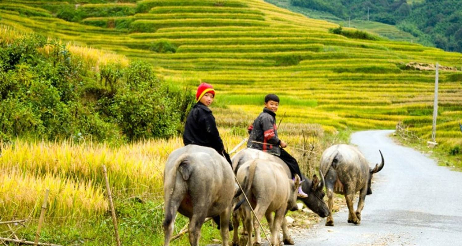 Scenic view of Sapa with terraced rice fields and a Hmong village