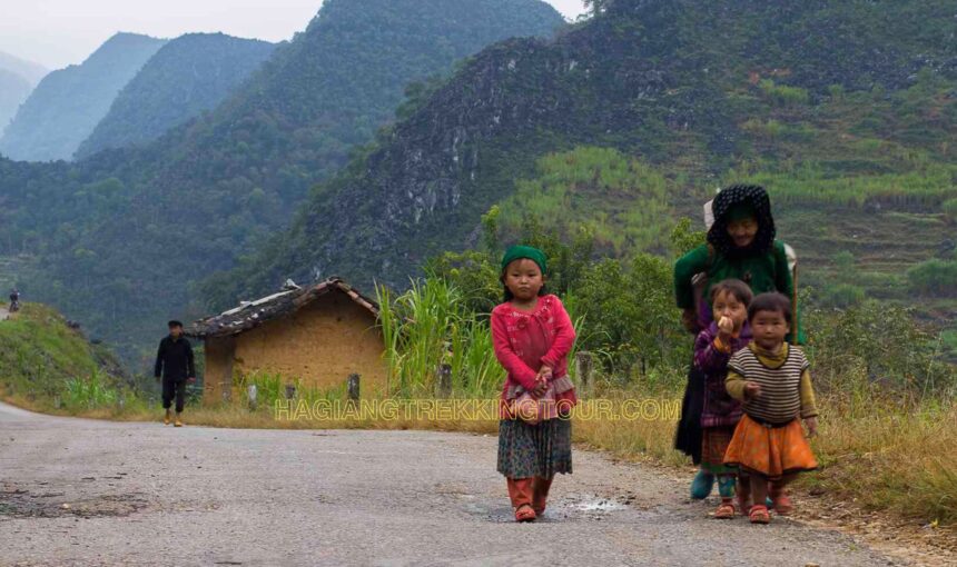 Ha Giang Insights: Everything You Need to Know Before Your Adventure