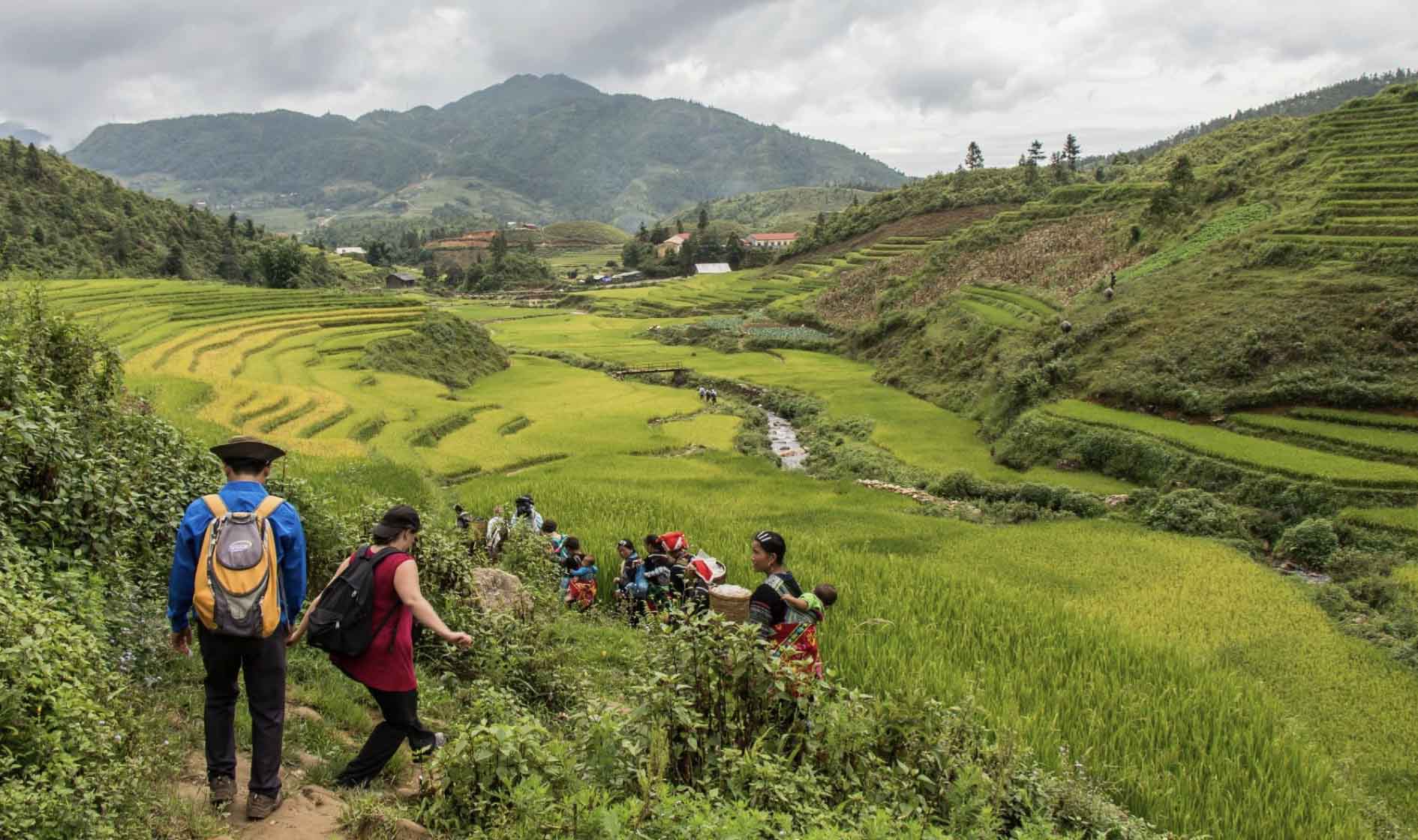 Scenic view of Sapa with terraced rice fields and a Hmong village