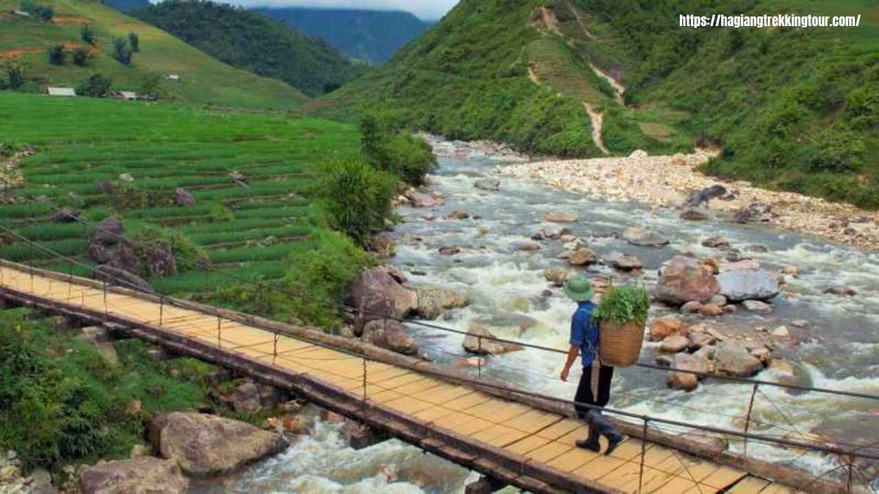 Ha Giang mountain village with terraced fields on a 4-day trekking tour