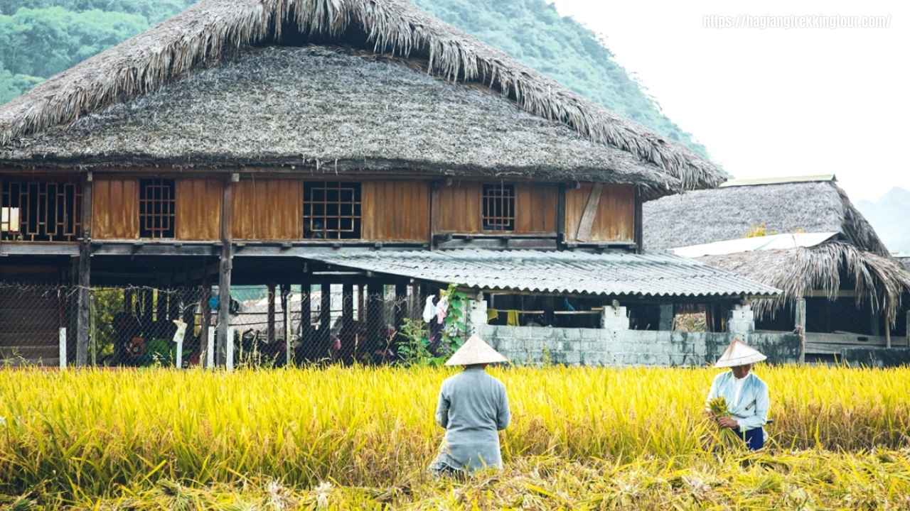 Waterfall and peaceful village scenery in Ha Giang