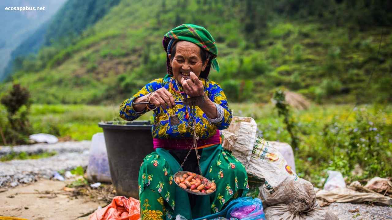 Hmong ethnic minority village in Ha Giang — local culture and homestay experience