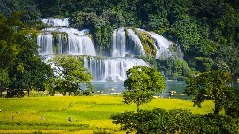 Ban Gioc Waterfall and Ha Giang to Cao Bang 5-day motorbike loop