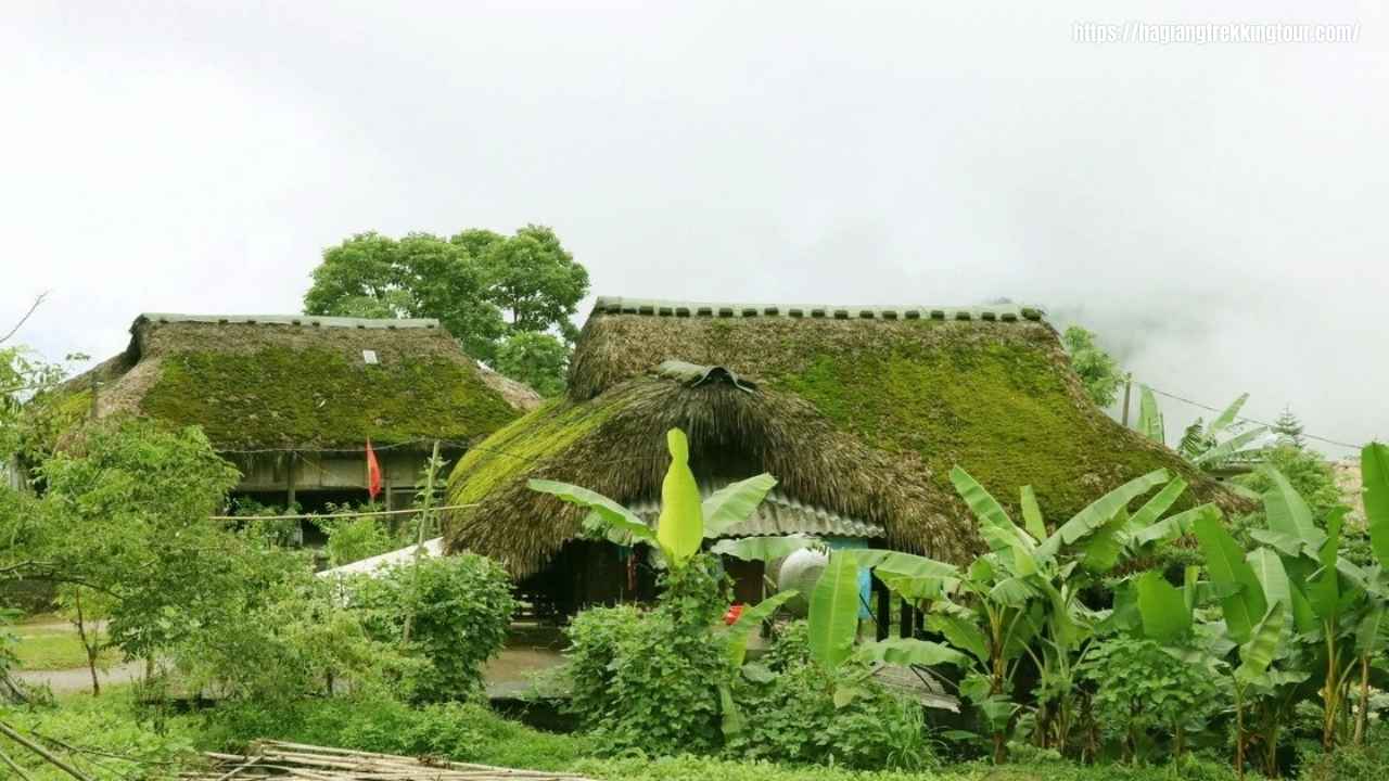 Trekking through rice terraces and ethnic villages in Ha Giang