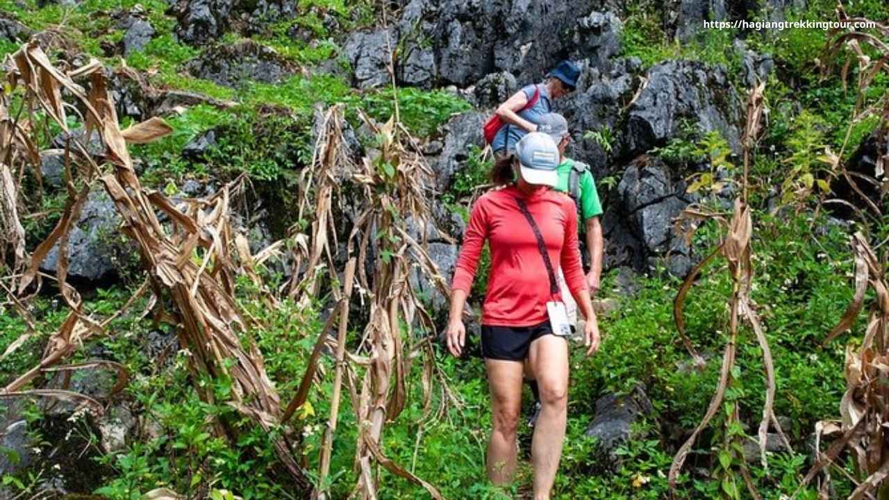 Ha Giang 4-day trekking, bike and car tour — rice terraces and mountain passes