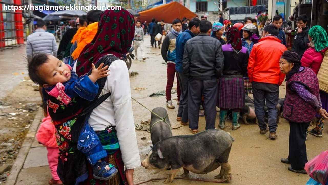 Motorbike riders on Ha Giang Loop, Ma Pi Leng Pass